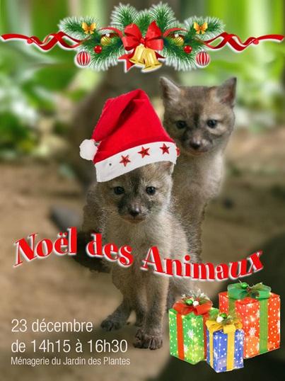 Noel animaux 2024 miniature